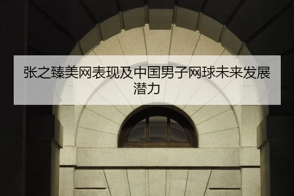 张之臻美网表现及中国男子网球未来发展潜力